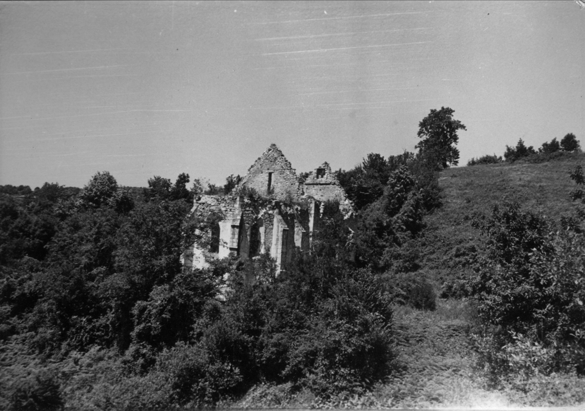Image description